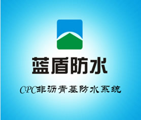 藍(lán)盾防水工程